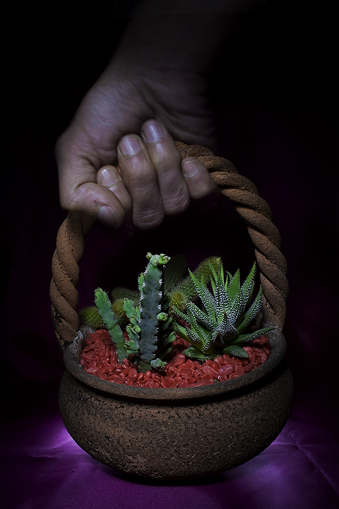 Ti prendo e ti porto via