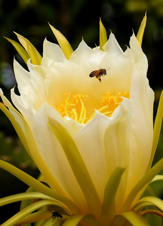 ...Un Piccolo Mondo...!!!