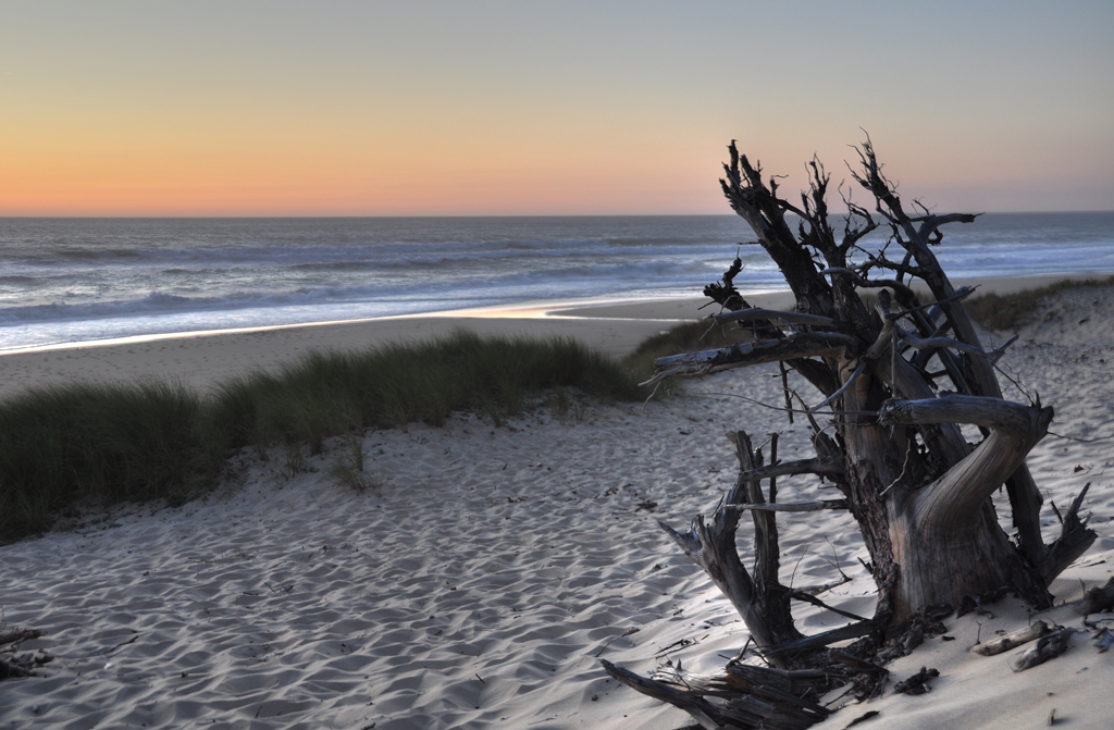 Tramonto a Biscarosse