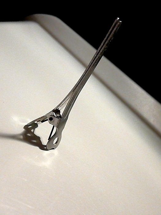 My petit Tour Eiffel