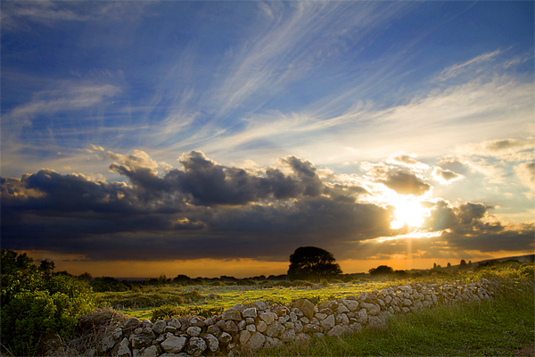 Tramonto dalla campagna