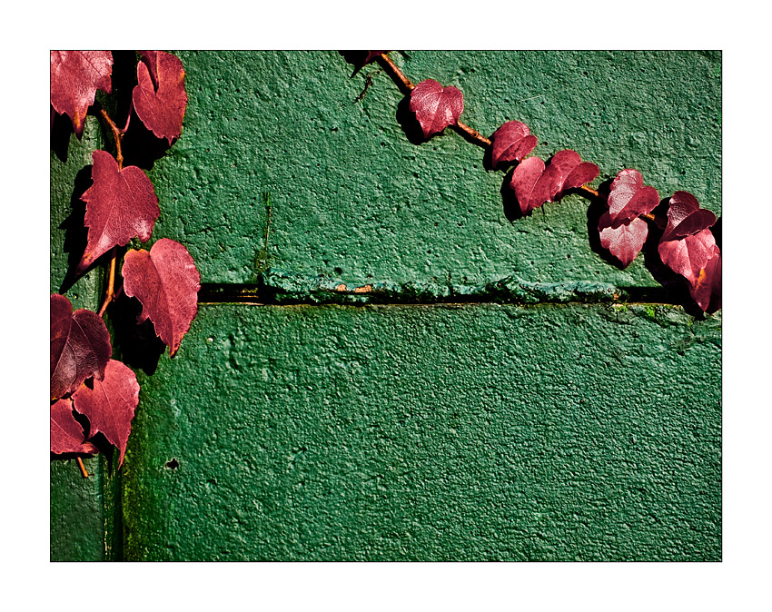 Composizione autunnale