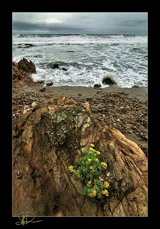 stormy seaside evening rep.01