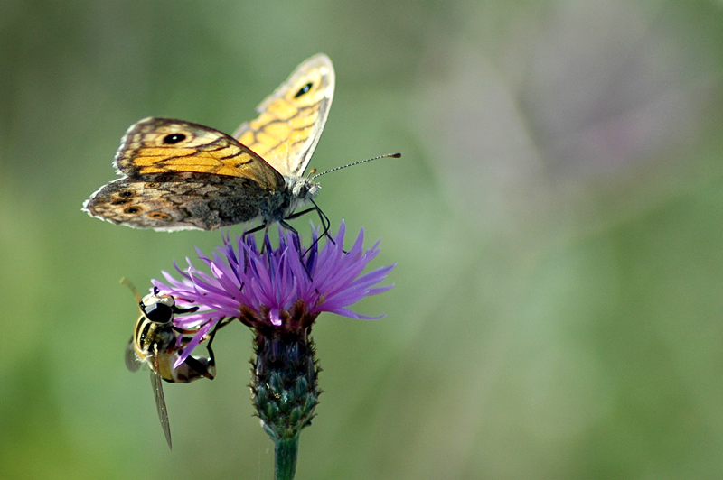 C'� posto per tutti!