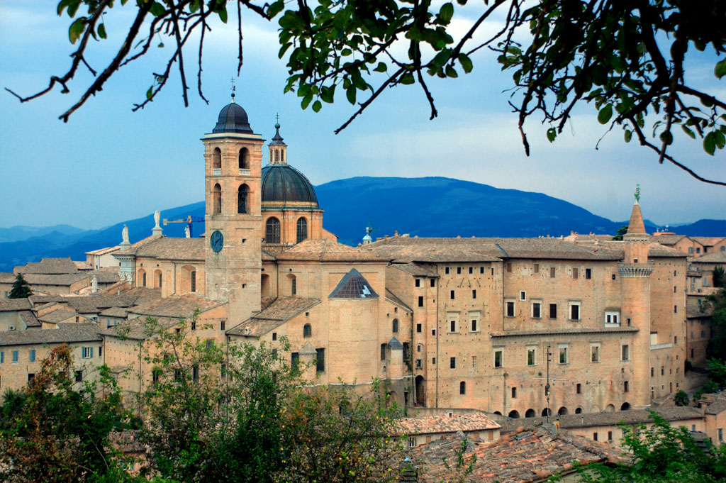 Urbino