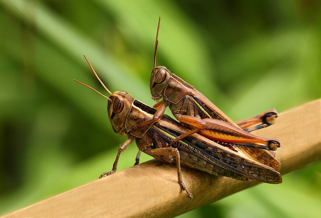 ...Tenero Abbraccio...!!!
