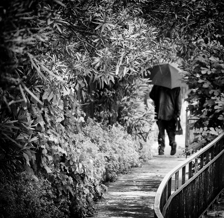 Il giorno degli addii