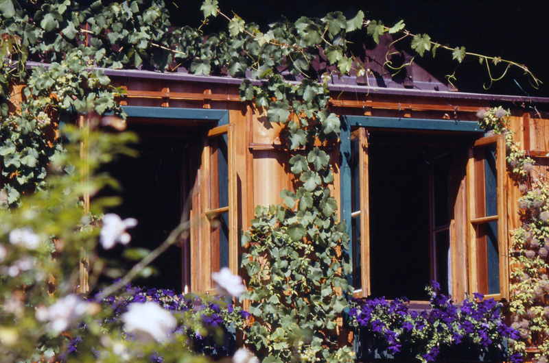 Salisburgo window - Austria 2009