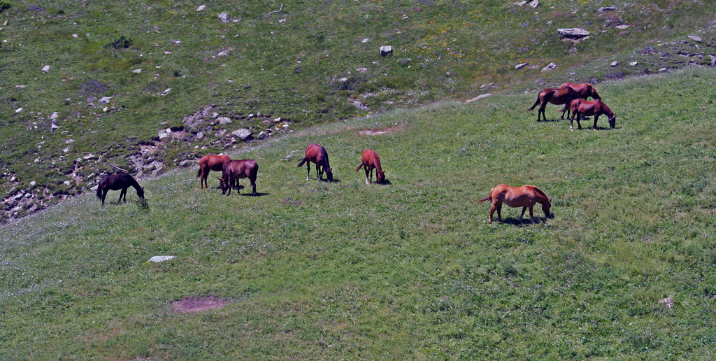 Tranquillit� montana2