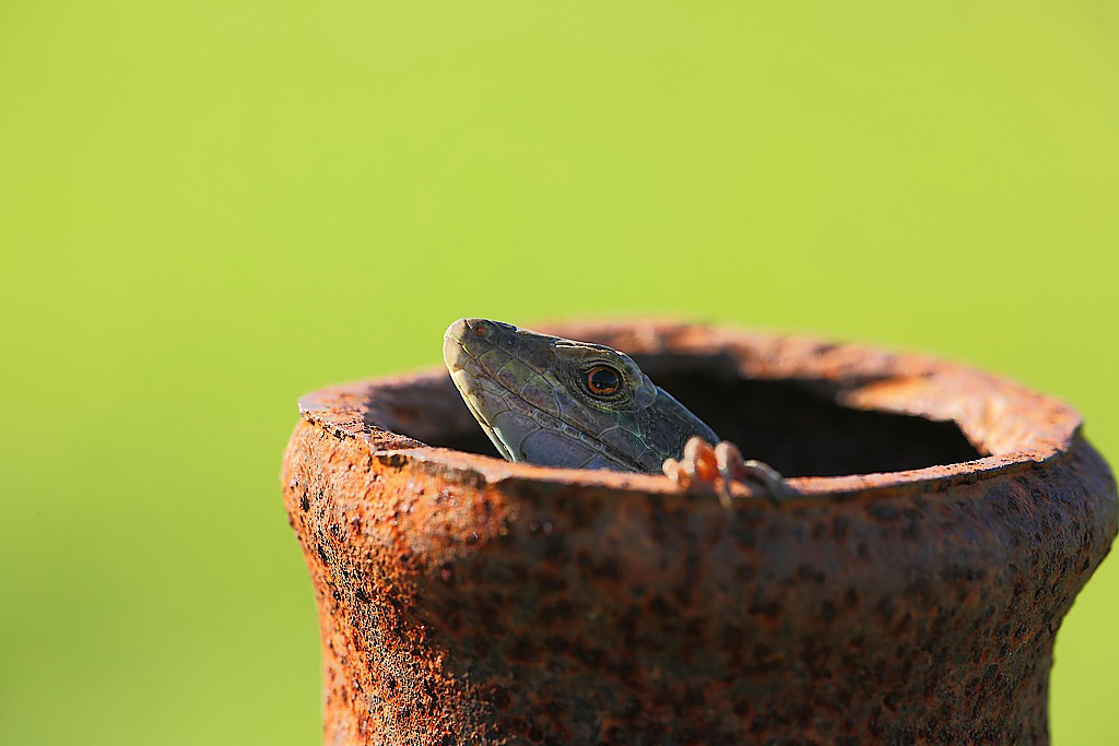 ...Sono Fuori Dal Tunnel...!!!