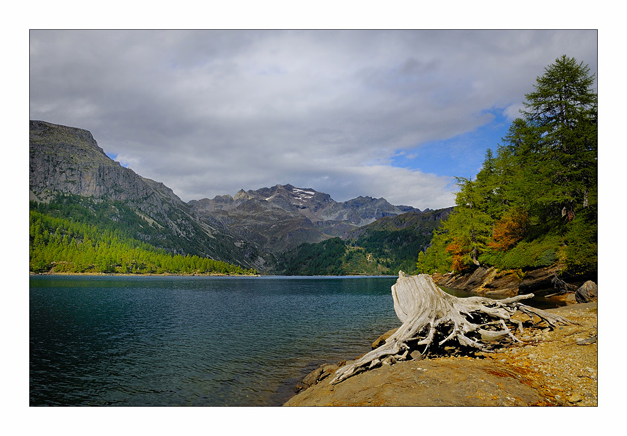 Il guardiano del lago