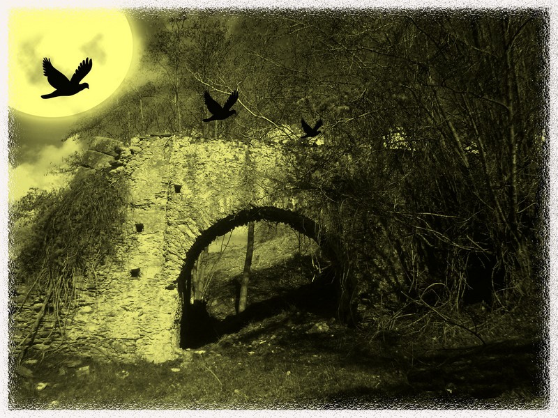 vecchio  mulino   aprigliano  cosenza