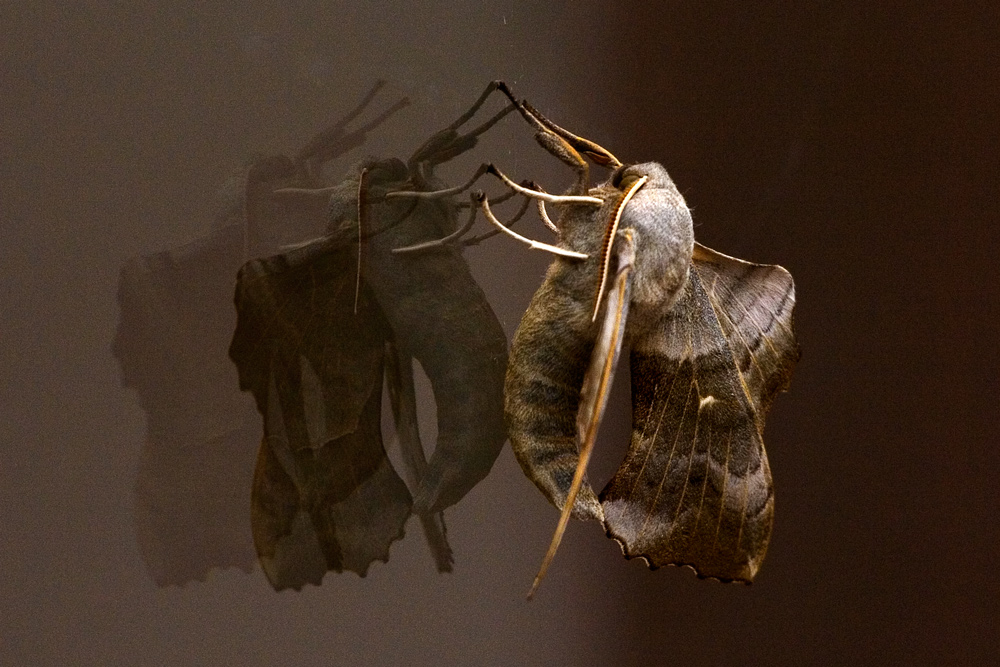 Arrampicarsi sugli specchi