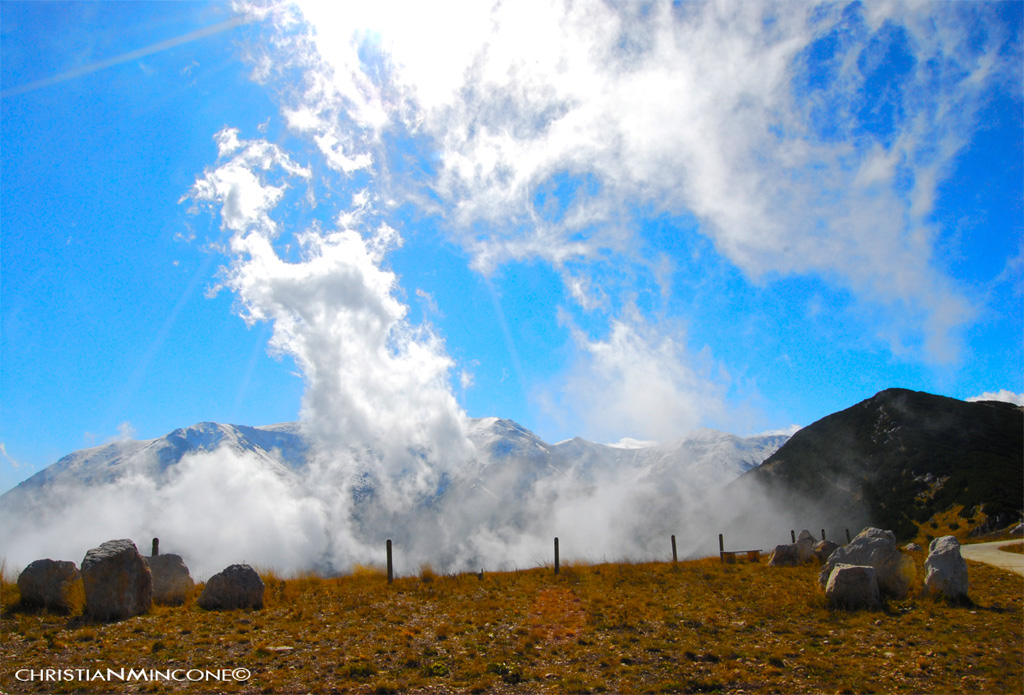 il coraggio delle idee