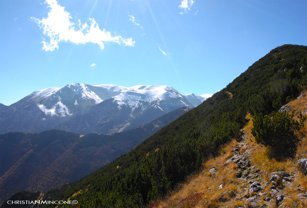 Il silenzio incantato