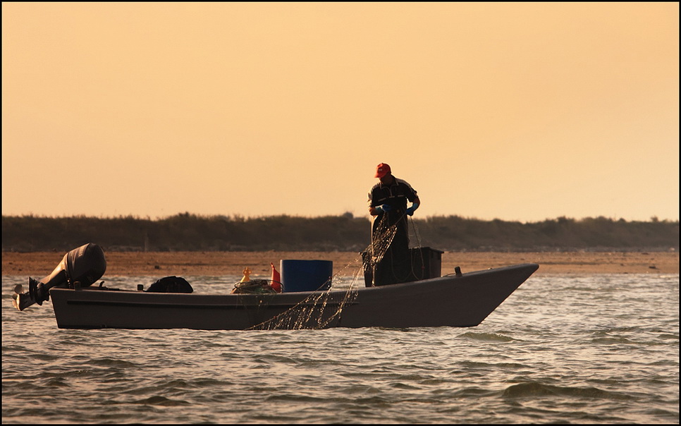 Pescatore del Delta
