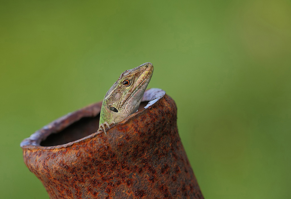 ...Senza Fissa Dimora...!!!