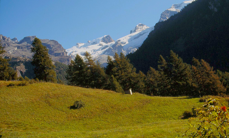 monte Rosa (val d'Ayas) 2010.