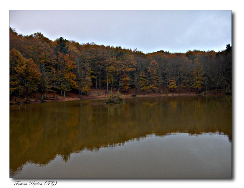 Laghetto Foresta Umbra (FG)