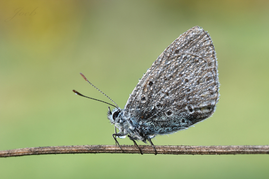 Chi l'ha detto che son finite, stamane...
