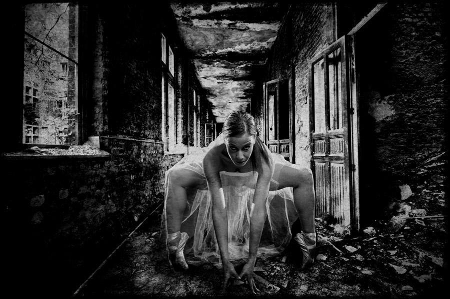 Eliana Guglielmelli II