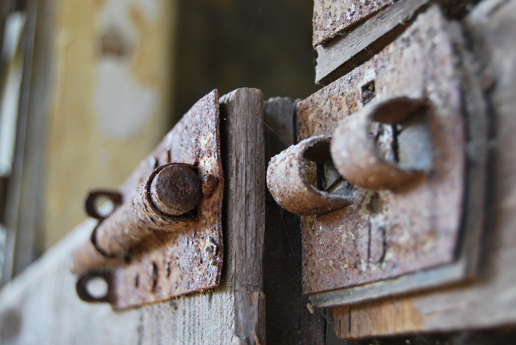 La vernice della gloria ricoprir�!