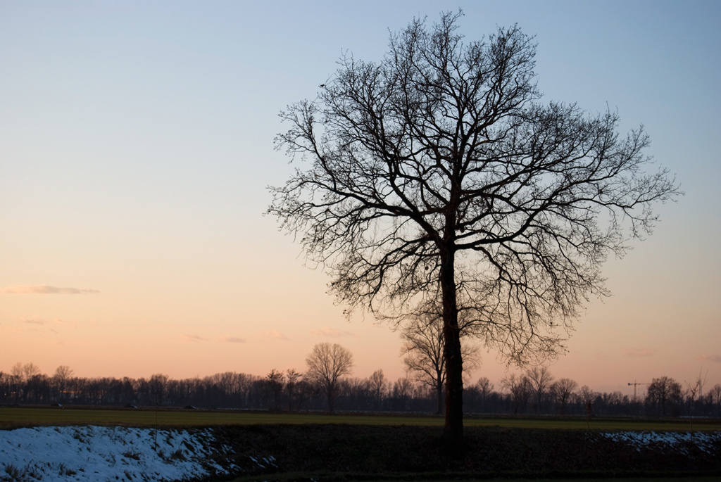 Segreto, misterioso, appartato