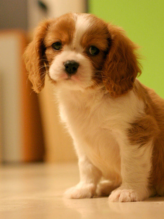 una semplice condivisione d'affetto