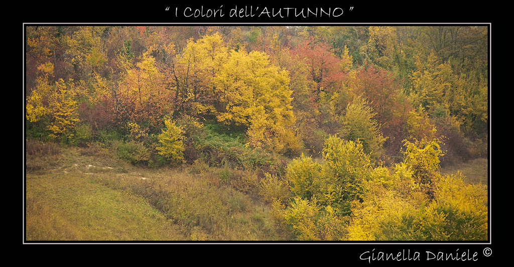 L'autunno e i suoi Colori