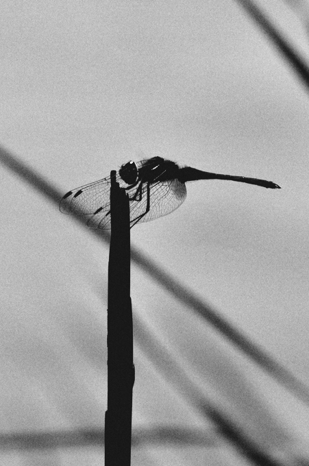 geometrie d'altri tempi