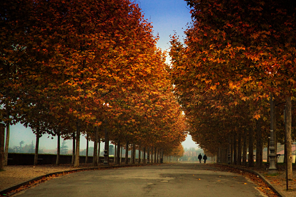 Lucca, viale sulle mura