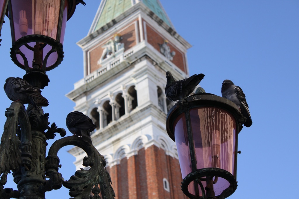 appartamento a san Marco