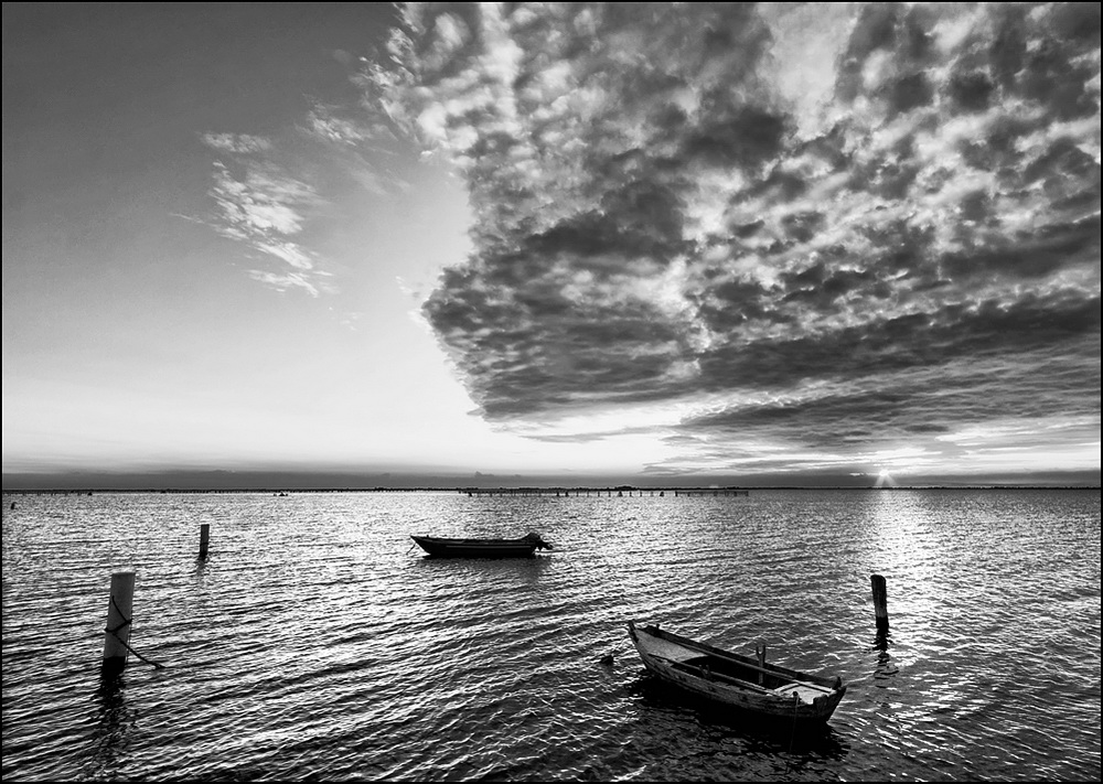 Lo spettacolo della sera