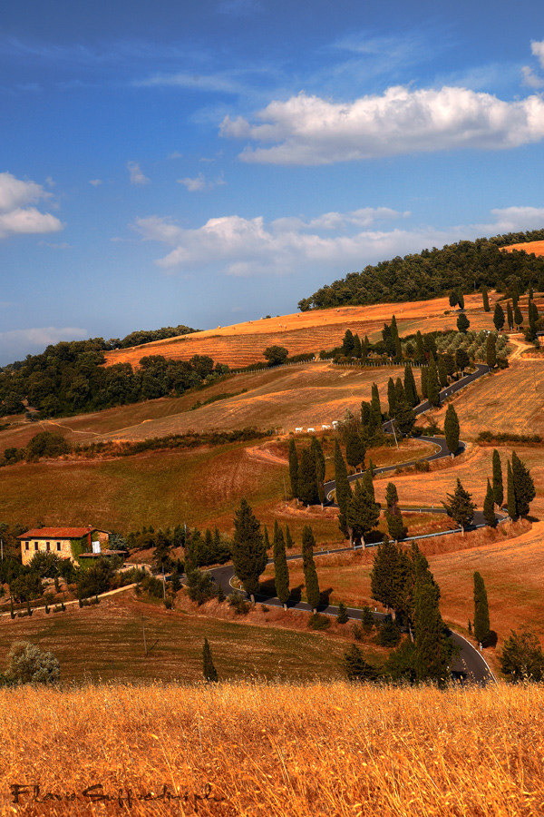 Road to Monticchiello