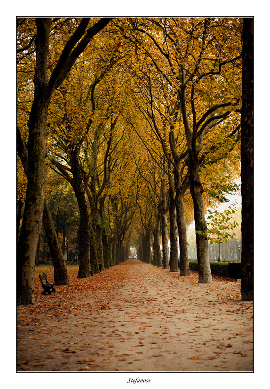 Autumn in...Brussels 2