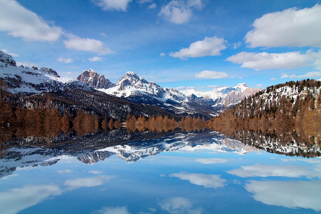 Tra sogno e realt�