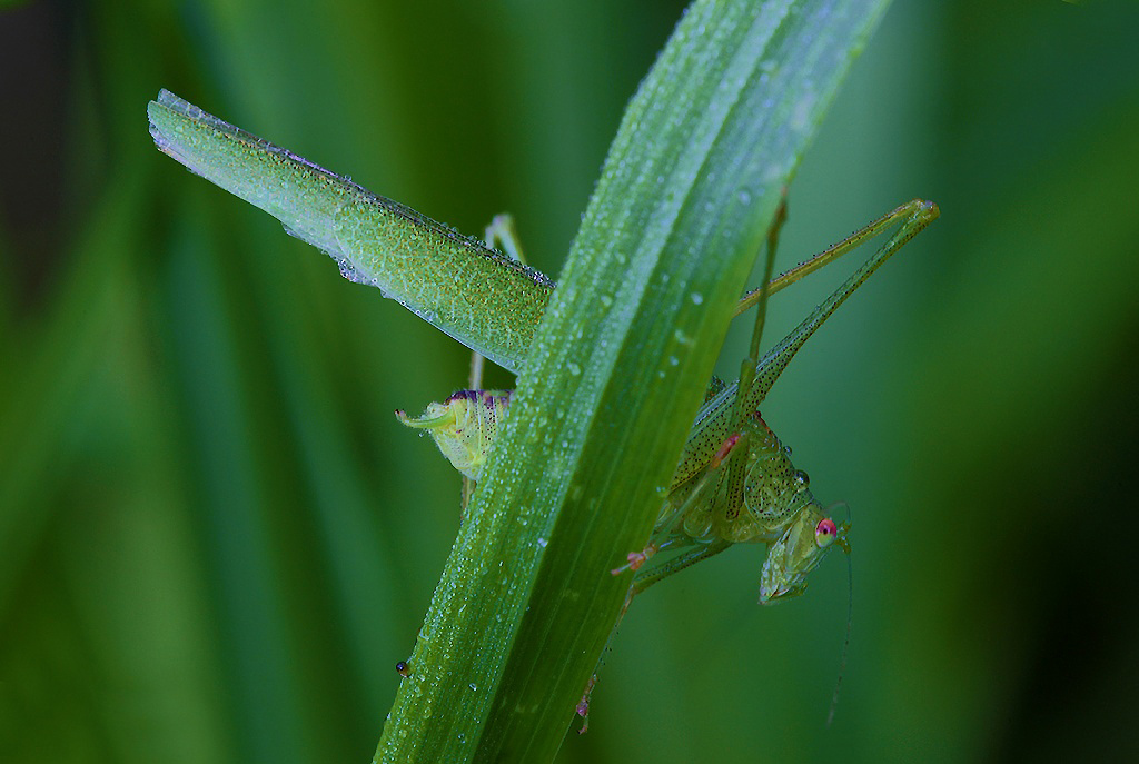 ...Vincere La timidezza...!!!