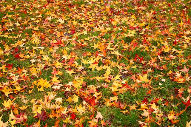 Novembre a Santa Giulia