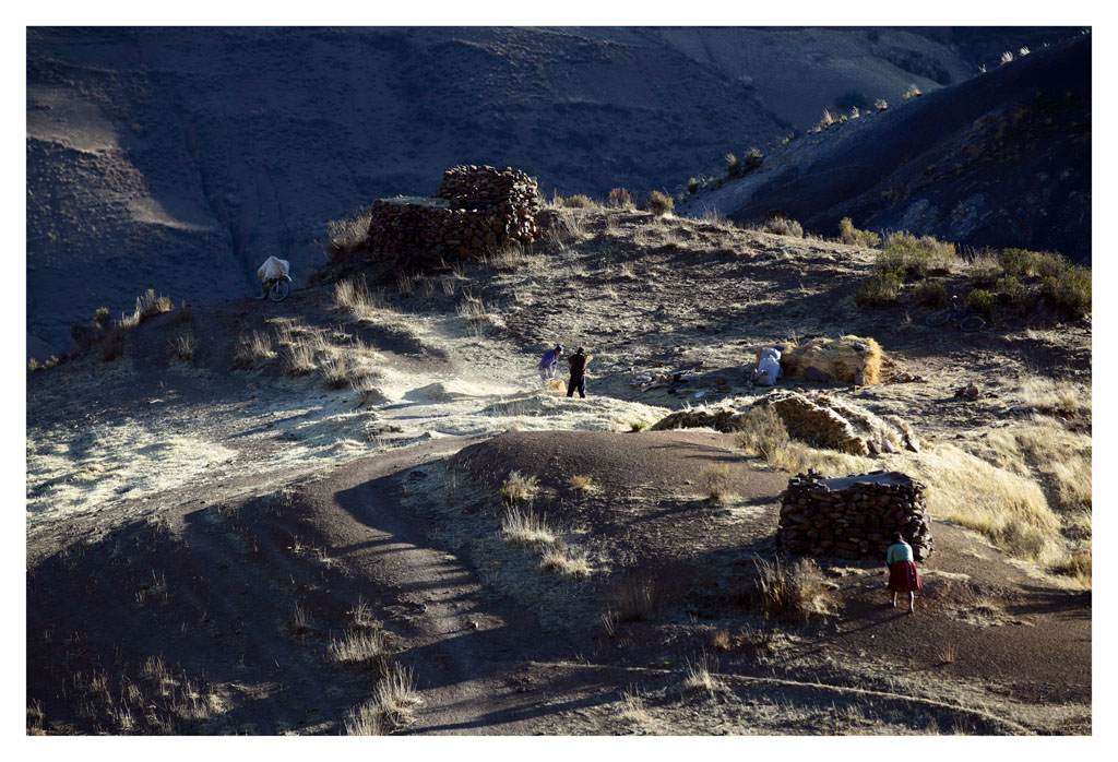 Bolivia la trebbiatura