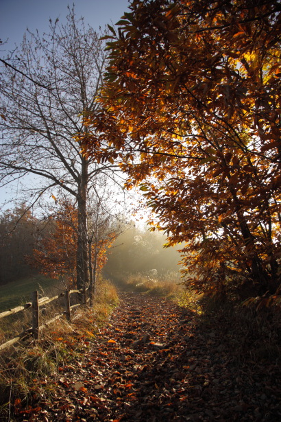 Strade d'autunno