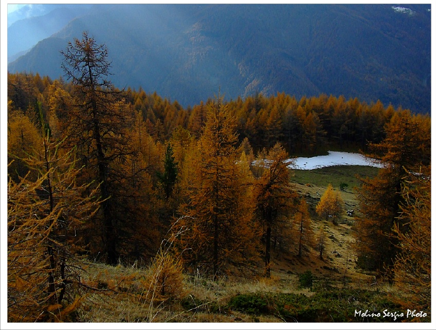Colori d'autunno in Val Chisone