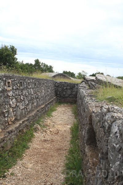 trincea