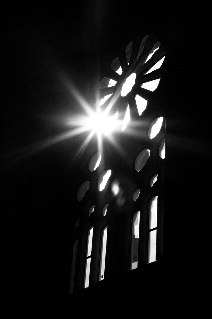 Sagrada Familia - Interno - Particolare