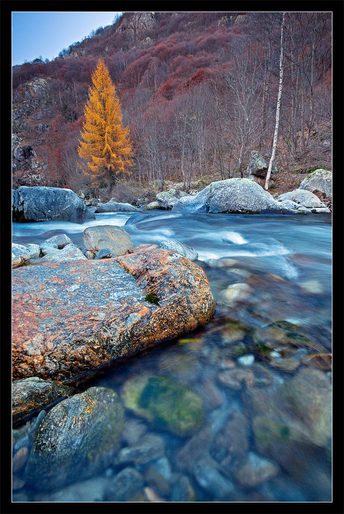Il Larice e Il Fiume