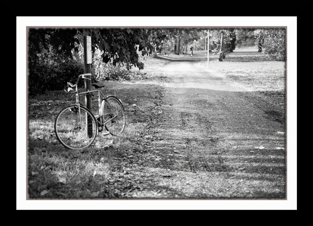 libert� di pedalare2