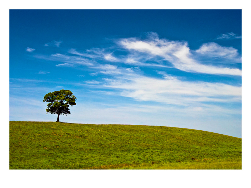 Are you lonesome tonight..