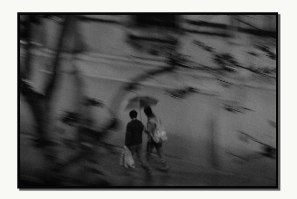 ...dalla mia finestra...la pioggia...01