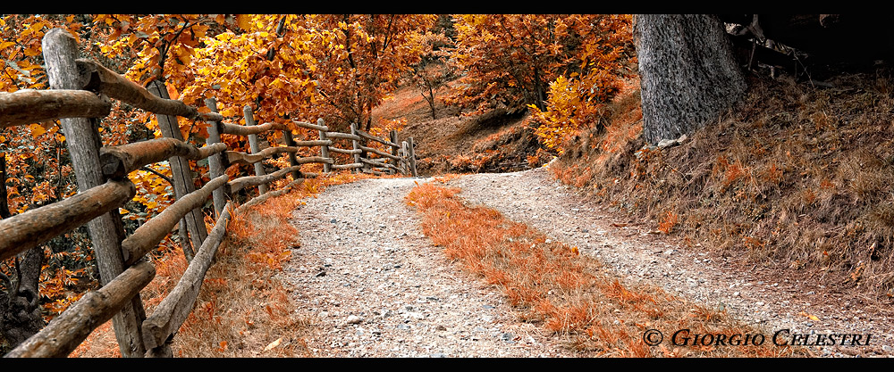 Strade d'autunno