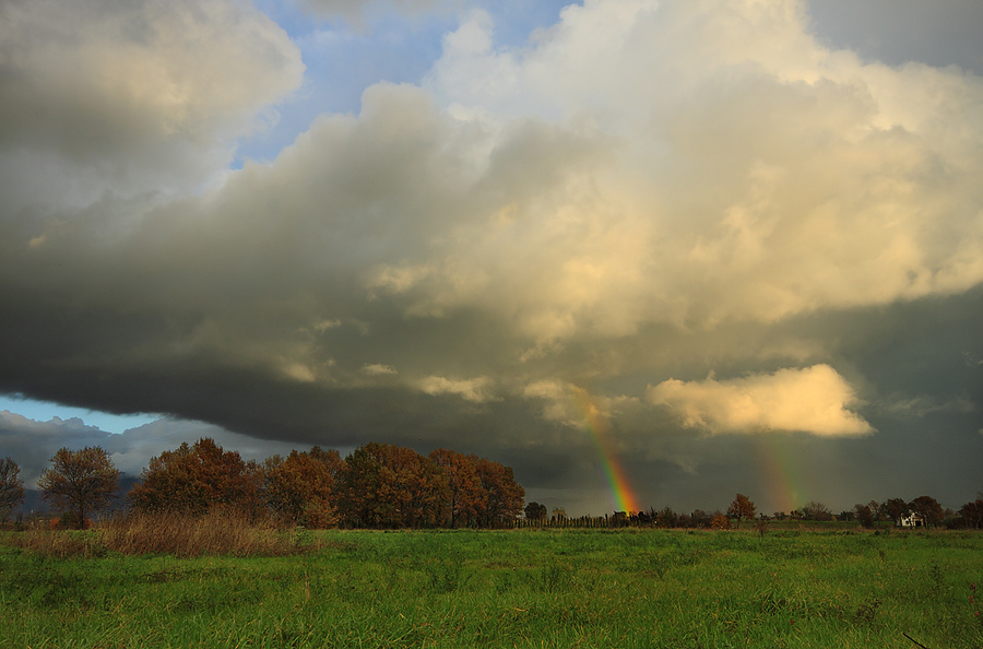 Non potr� piovere per sempre ...