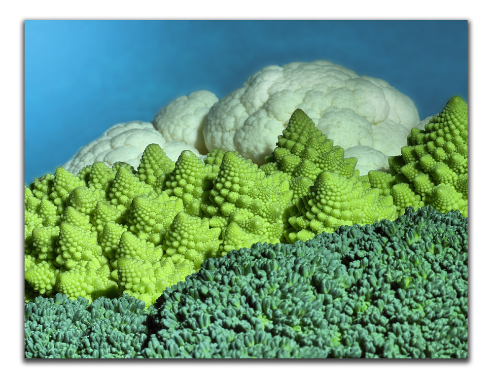 Nubi minacciose sul  mio mondo vegetale!